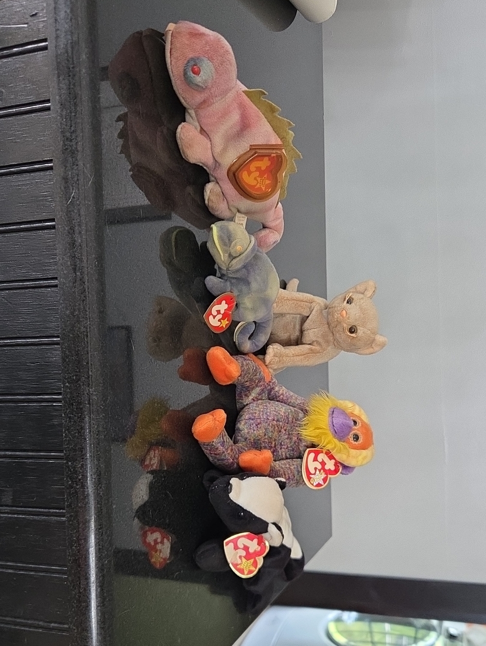 Ty Multicolored Beanie Plush Set Of 5
